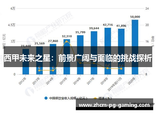 西甲未来之星：前景广阔与面临的挑战探析