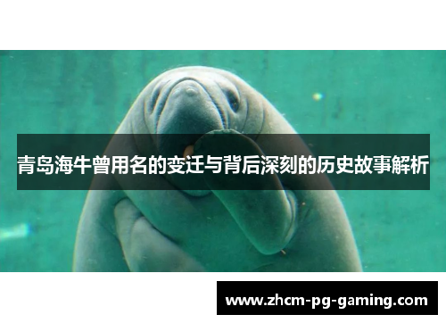 青岛海牛曾用名的变迁与背后深刻的历史故事解析